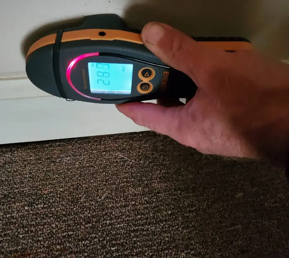 Moisture detection at baseboard during Sewage Cleanup & Sanitation in Parkway
